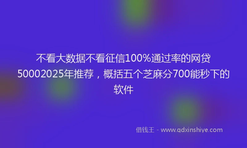 不看大数据不看征信100%通过率的网贷50002025年推荐，概括五个芝麻分700能秒下的软件