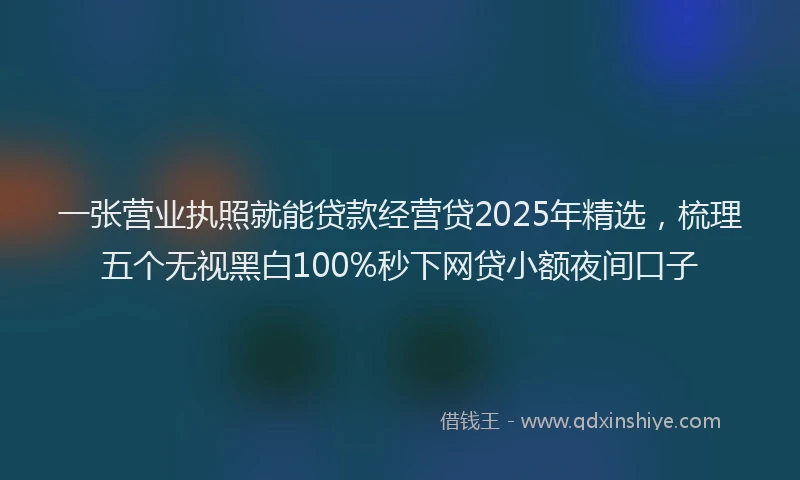 一张营业执照就能贷款经营贷2025年精选，梳理五个无视黑白100%秒下网贷小额夜间口子