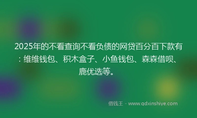 2025年的不看查询不看负债的网贷百分百下款有：维维钱包、积木盒子、小鱼钱包、森森借呗、鹿优选等。