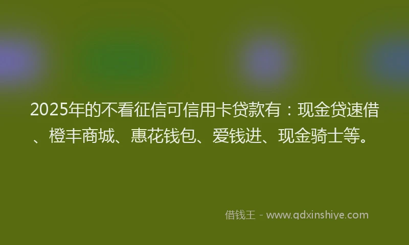 2025年的不看征信可信用卡贷款有：现金贷速借、橙丰商城、惠花钱包、爱钱进、现金骑士等。