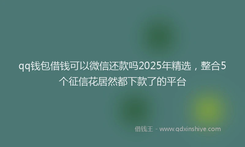 qq钱包借钱可以微信还款吗2025年精选，整合5个征信花居然都下款了的平台