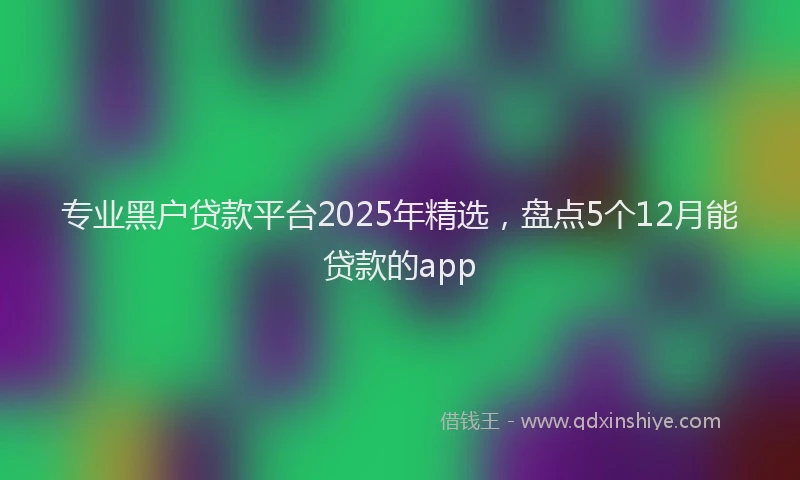 专业黑户贷款平台2025年精选，盘点5个12月能贷款的app