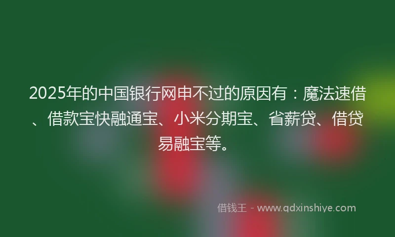 2025年的中国银行网申不过的原因有：魔法速借、借款宝快融通宝、小米分期宝、省薪贷、借贷易融宝等。