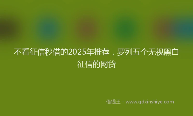 不看征信秒借的2025年推荐，罗列五个无视黑白征信的网贷