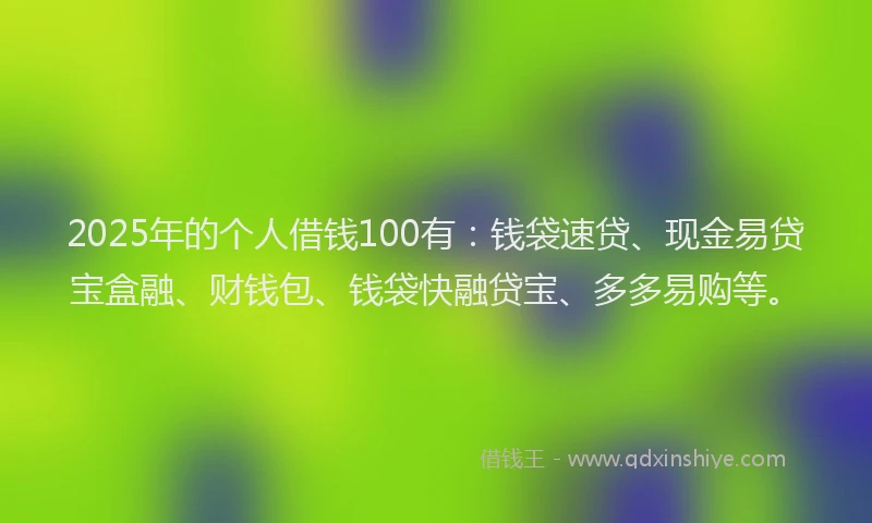 2025年的个人借钱100有:钱袋速贷、现金易贷宝盒融、财钱包、钱袋快融贷宝、多多易购等。
