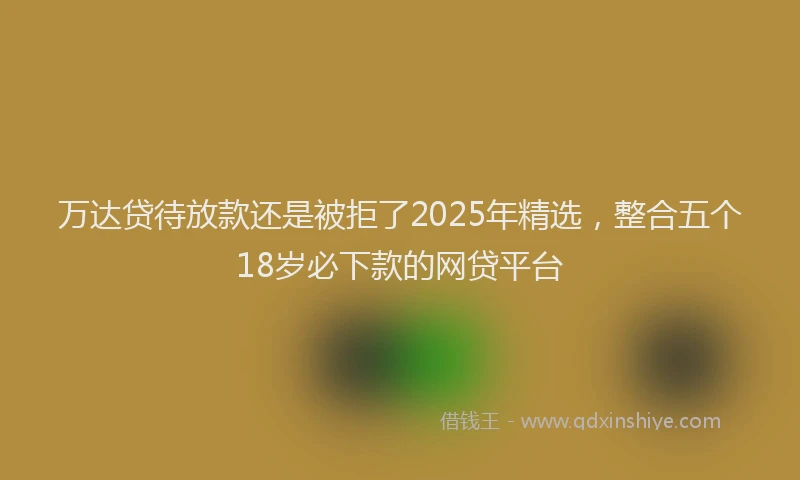 万达贷待放款还是被拒了2025年精选，整合五个18岁必下款的网贷平台