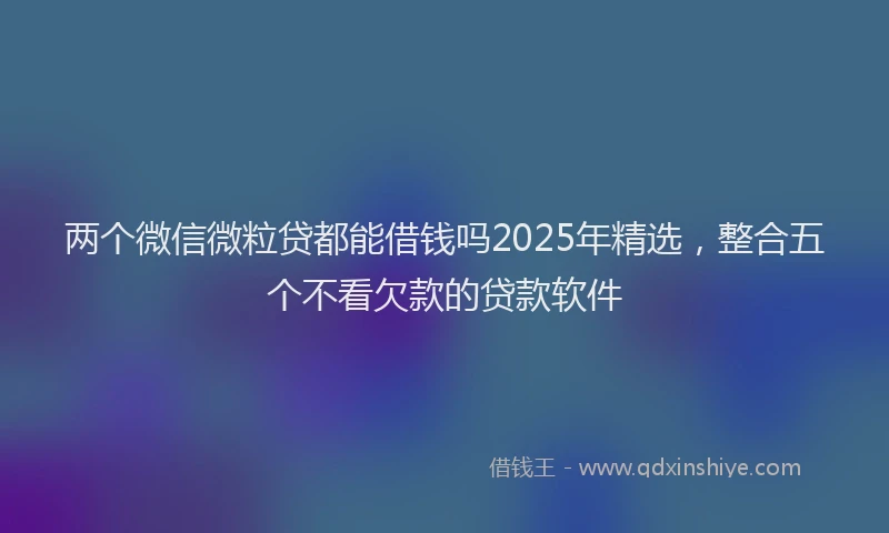 两个微信微粒贷都能借钱吗2025年精选，整合五个不看欠款的贷款软件