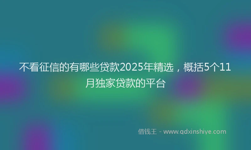 不看征信的有哪些贷款2025年精选，概括5个11月独家贷款的平台