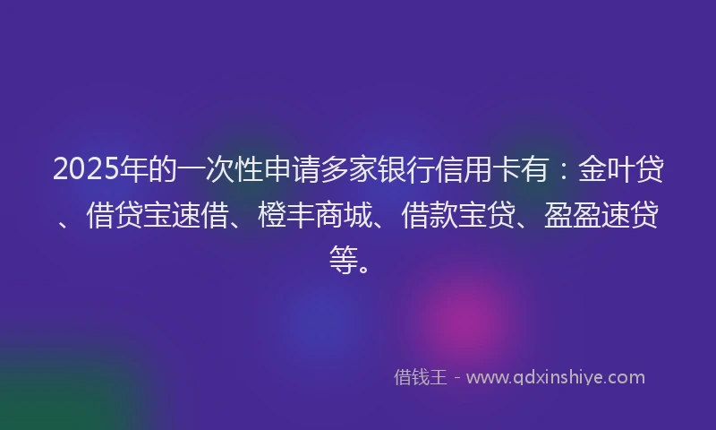2025年的一次性申请多家银行信用卡有：金叶贷、借贷宝速借、橙丰商城、借款宝贷、盈盈速贷等。