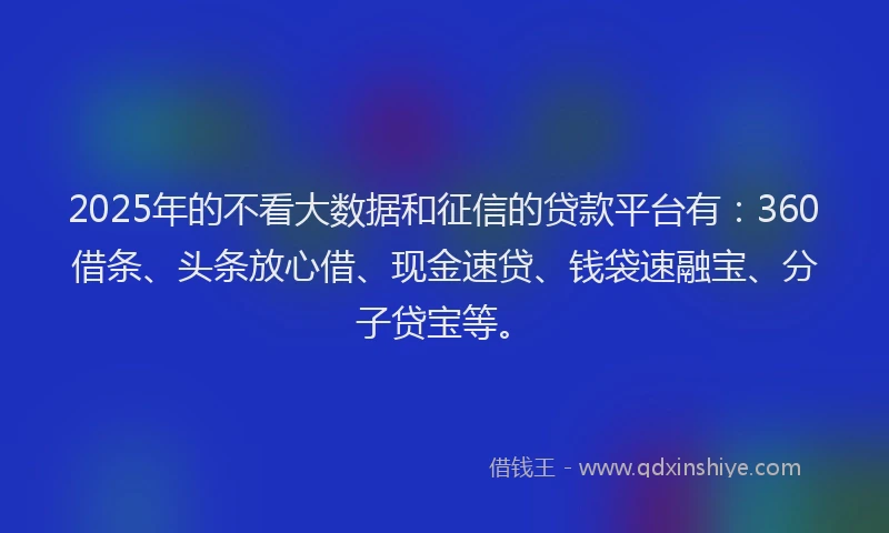 2025年的不看大数据和征信的贷款平台有：360借条、头条放心借、现金速贷、钱袋速融宝、分子贷宝等。