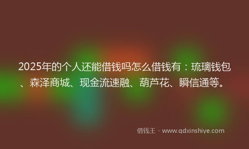 2025年的个人还能借钱吗怎么借钱有：琉璃钱包、森泽商城、现金流速融、葫芦花、瞬信通等。