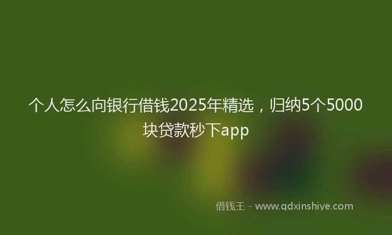 个人怎么向银行借钱2025年精选，归纳5个5000块贷款秒下app