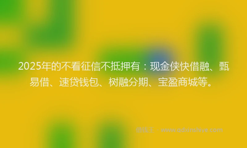 2025年的不看征信不抵押有：现金侠快借融、甄易借、速贷钱包、树融分期、宝盈商城等。