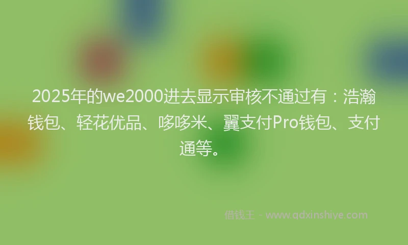 2025年的we2000进去显示审核不通过有：浩瀚钱包、轻花优品、哆哆米、翼支付Pro钱包、支付通等。