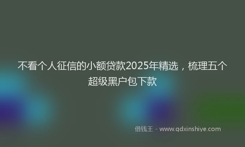 不看个人征信的小额贷款2025年精选，梳理五个超级黑户包下款