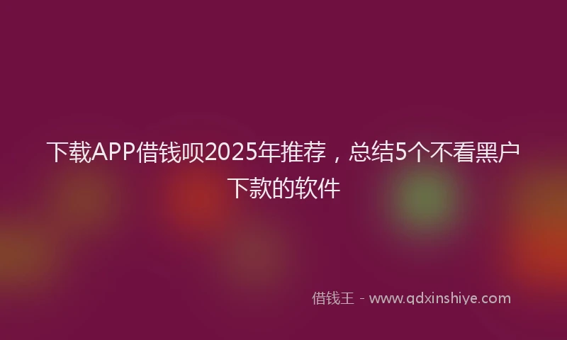 下载APP借钱呗2025年推荐，总结5个不看黑户下款的软件