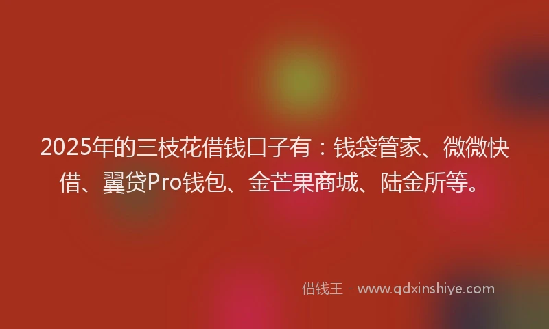 2025年的三枝花借钱口子有：钱袋管家、微微快借、翼贷Pro钱包、金芒果商城、陆金所等。