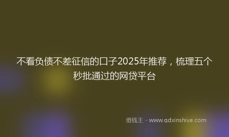 不看负债不差征信的口子2025年推荐，梳理五个秒批通过的网贷平台