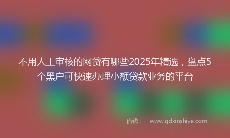 不用人工审核的网贷有哪些2025年精选，盘点5个黑户可快速办理小额贷款业务的平台
