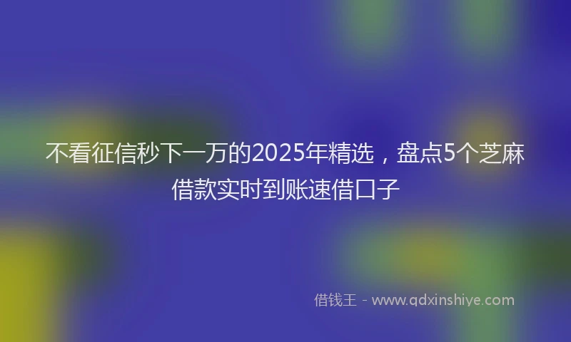 不看征信秒下一万的2025年精选，盘点5个芝麻借款实时到账速借口子