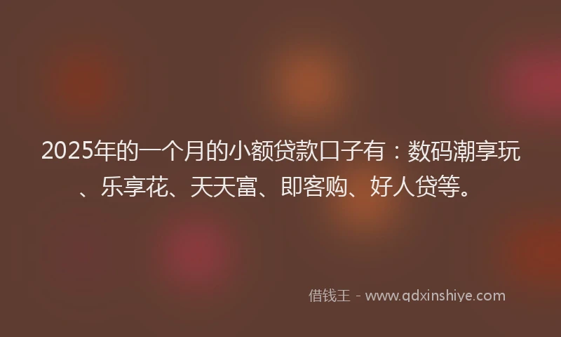 2025年的一个月的小额贷款口子有：数码潮享玩、乐享花、天天富、即客购、好人贷等。