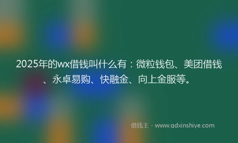 2025年的wx借钱叫什么有：微粒钱包、美团借钱、永卓易购、快融金、向上金服等。