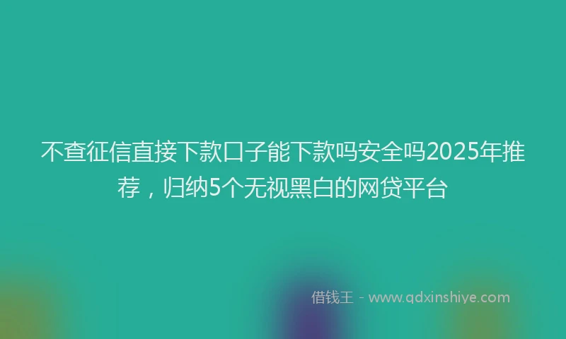 不查征信直接下款口子能下款吗安全吗2025年推荐，归纳5个无视黑白的网贷平台