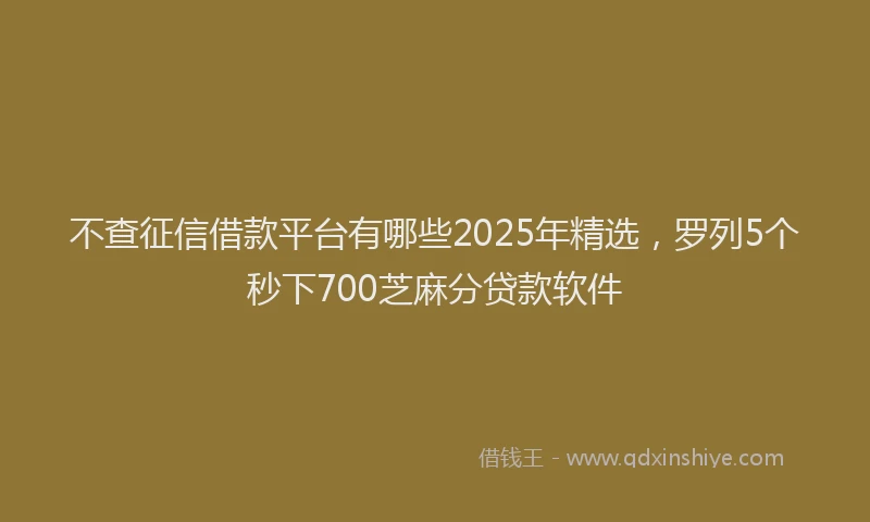 不查征信借款平台有哪些2025年精选，罗列5个秒下700芝麻分贷款软件
