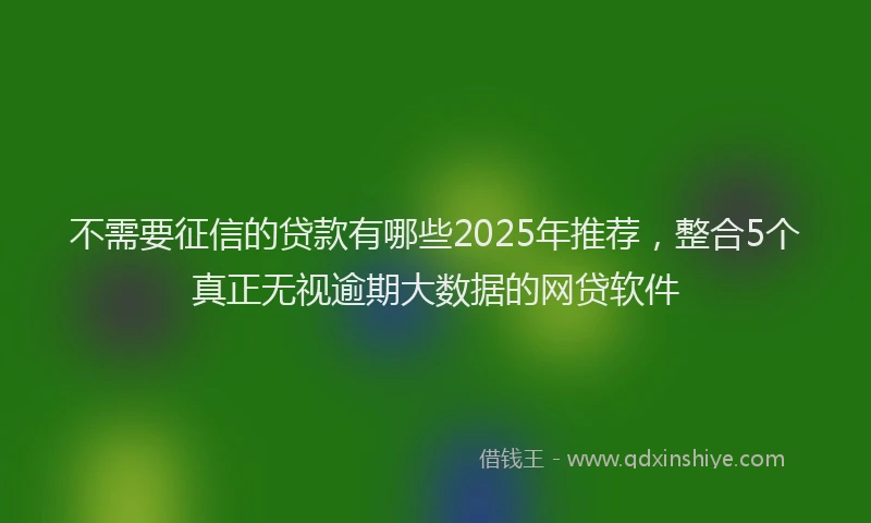 不需要征信的贷款有哪些2025年推荐，整合5个真正无视逾期大数据的网贷软件