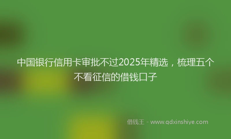 中国银行信用卡审批不过2025年精选，梳理五个不看征信的借钱口子