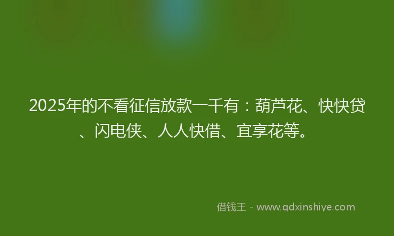 2025年的不看征信放款一千有：葫芦花、快快贷、闪电侠、人人快借、宜享花等。