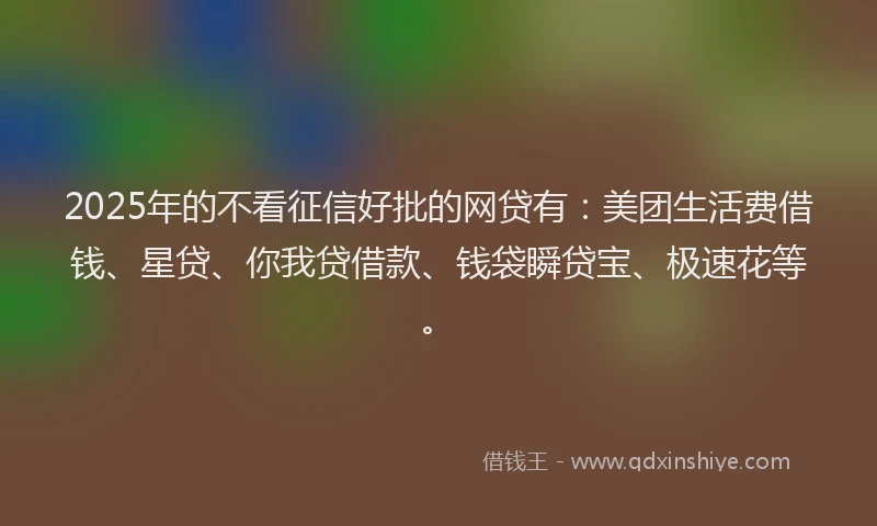2025年的不看征信好批的网贷有：美团生活费借钱、星贷、你我贷借款、钱袋瞬贷宝、极速花等。