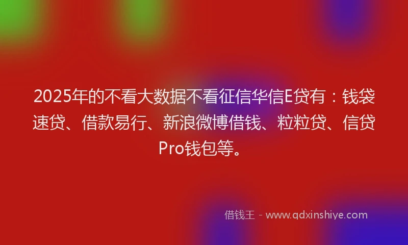2025年的不看大数据不看征信华信E贷有：钱袋速贷、借款易行、新浪微博借钱、粒粒贷、信贷Pro钱包等。