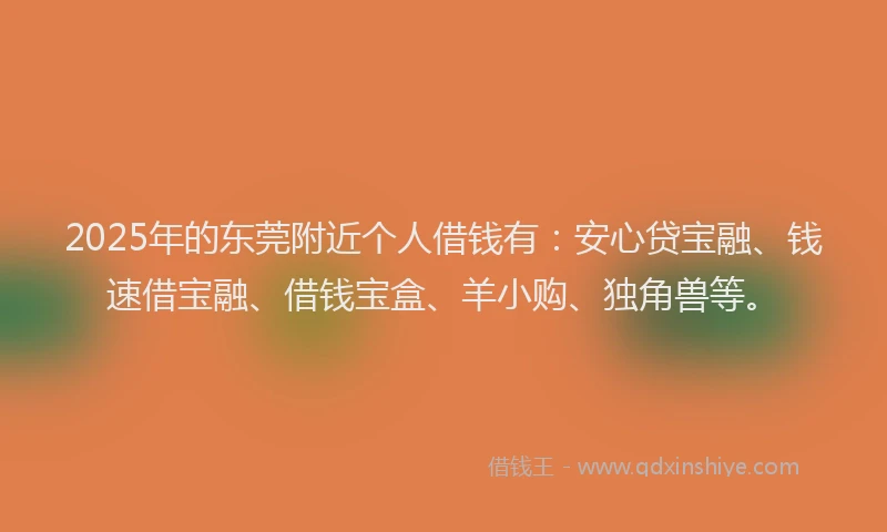 2025年的东莞附近个人借钱有：安心贷宝融、钱速借宝融、借钱宝盒、羊小购、独角兽等。
