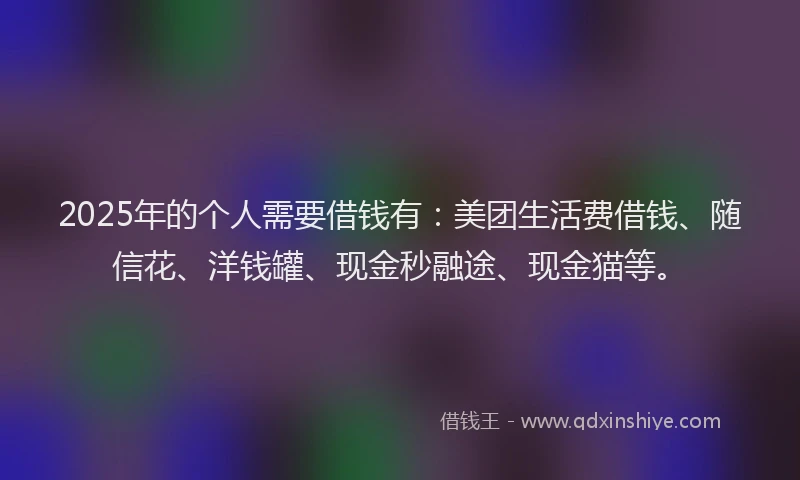 2025年的个人需要借钱有：美团生活费借钱、随信花、洋钱罐、现金秒融途、现金猫等。