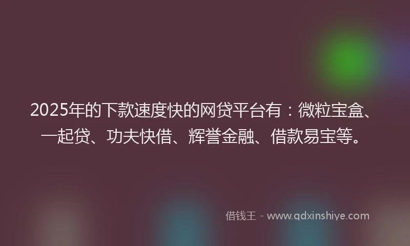 2025年的下款速度快的网贷平台有：微粒宝盒、一起贷、功夫快借、辉誉金融、借款易宝等。