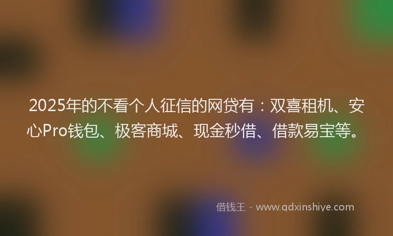 2025年的不看个人征信的网贷有：双喜租机、安心Pro钱包、极客商城、现金秒借、借款易宝等。