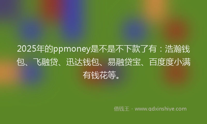 2025年的ppmoney是不是不下款了有：浩瀚钱包、飞融贷、迅达钱包、易融贷宝、百度度小满有钱花等。