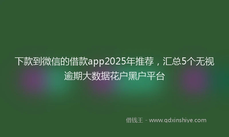下款到微信的借款app2025年推荐，汇总5个无视逾期大数据花户黑户平台