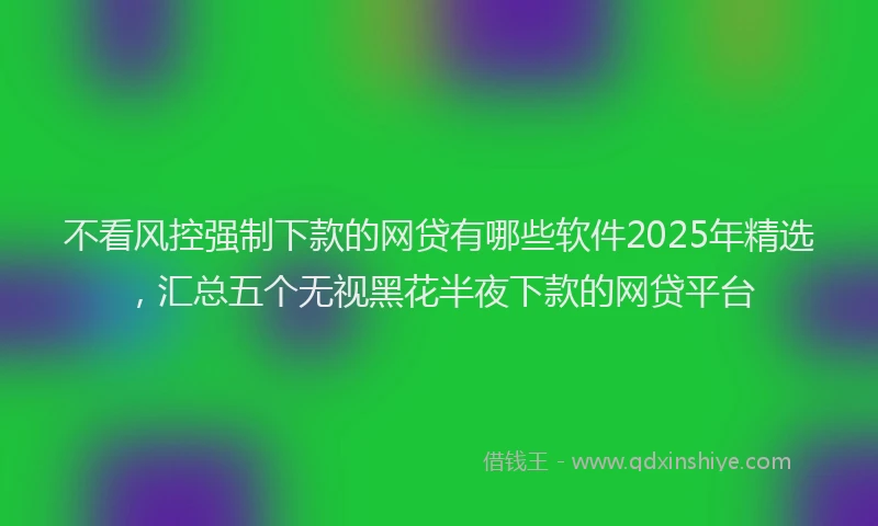 不看风控强制下款的网贷有哪些软件2025年精选，汇总五个无视黑花半夜下款的网贷平台