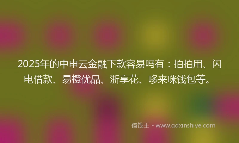 2025年的中申云金融下款容易吗有：拍拍用、闪电借款、易橙优品、浙享花、哆来咪钱包等。