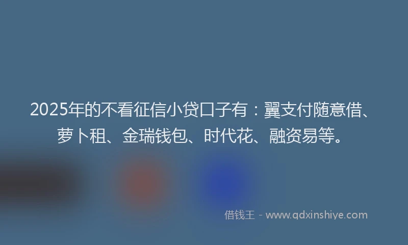 2025年的不看征信小贷口子有：翼支付随意借、萝卜租、金瑞钱包、时代花、融资易等。