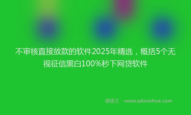 不审核直接放款的软件2025年精选，概括5个无视征信黑白100%秒下网贷软件