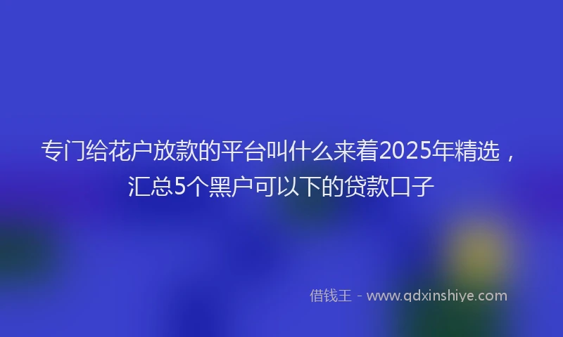 专门给花户放款的平台叫什么来着2025年精选，汇总5个黑户可以下的贷款口子