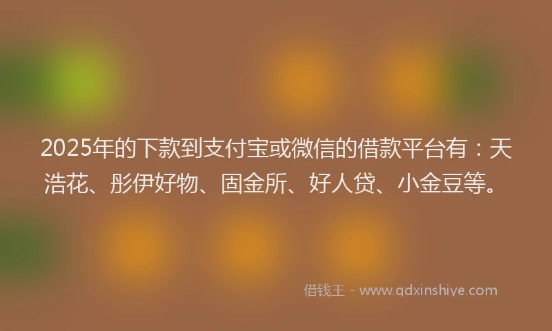 2025年的下款到支付宝或微信的借款平台有：天浩花、彤伊好物、固金所、好人贷、小金豆等。