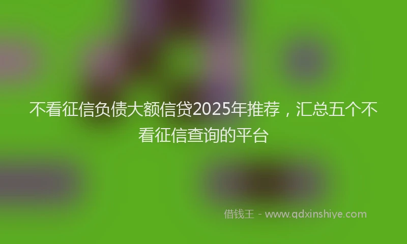 不看征信负债大额信贷2025年推荐，汇总五个不看征信查询的平台