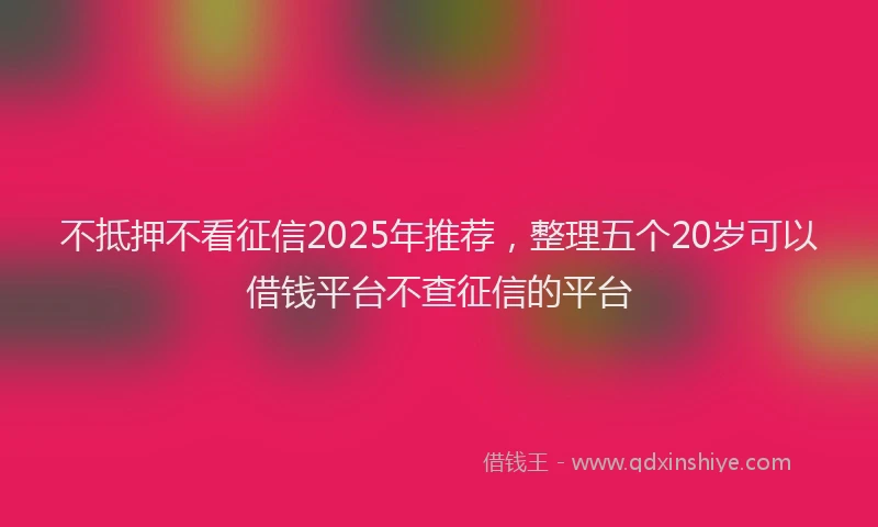 不抵押不看征信2025年推荐，整理五个20岁可以借钱平台不查征信的平台