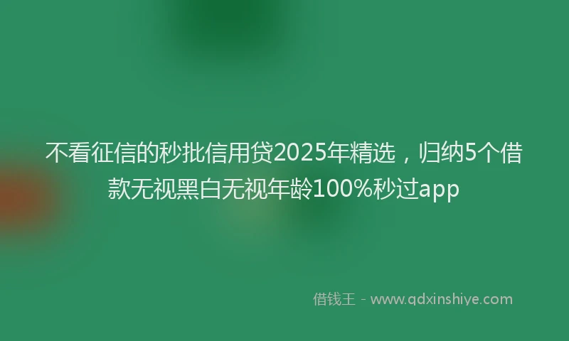 不看征信的秒批信用贷2025年精选，归纳5个借款无视黑白无视年龄100%秒过app