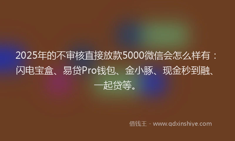 2025年的不审核直接放款5000微信会怎么样有：闪电宝盒、易贷Pro钱包、金小豚、现金秒到融、一起贷等。