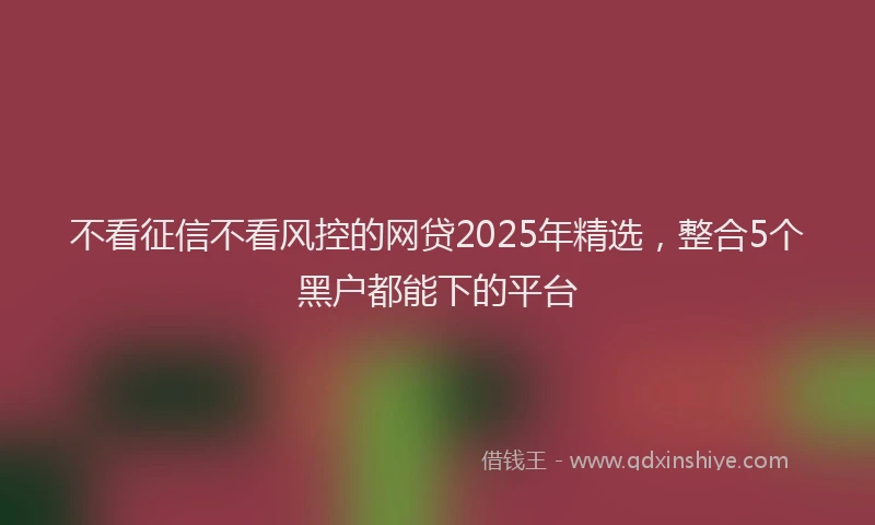 不看征信不看风控的网贷2025年精选，整合5个黑户都能下的平台